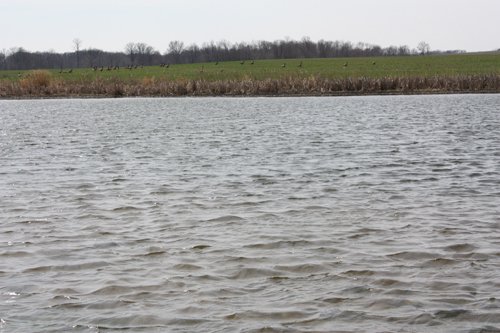 Property photo 10 - 194.67 Acres Offered in 2 Tracts